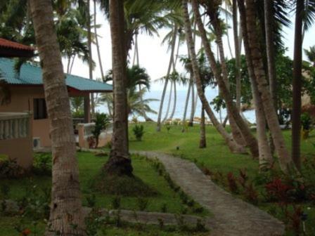 Tambora Beach Suites Punta Balandra الغرفة الصورة